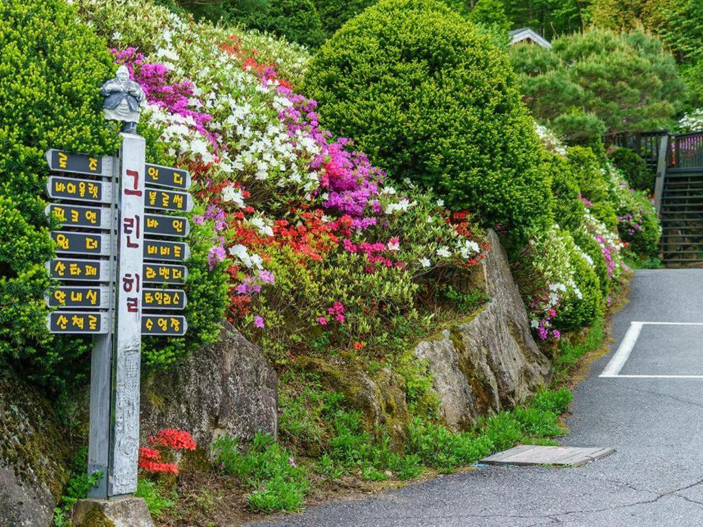 Pyeongchang Greenhill Pension エクステリア 写真